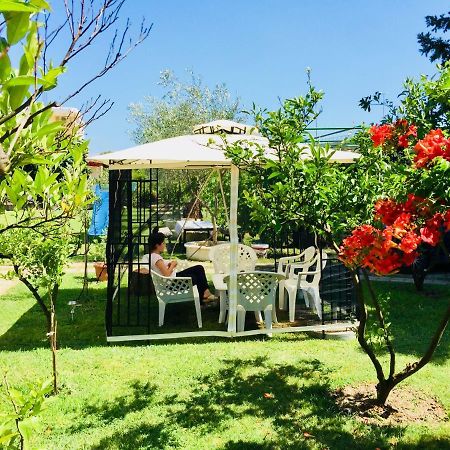Flamingo Cottage Ulcinj Eksteriør bilde